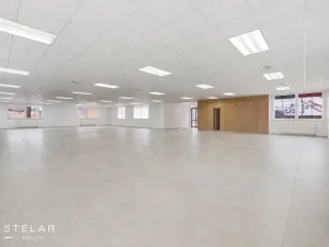Pronájem obchodního prostoru, Opava, Rybářská, 160 m2