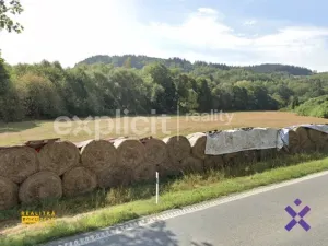 Prodej komerčního pozemku, Janová, 15066 m2