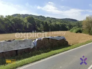 Prodej komerčního pozemku, Janová, 15066 m2