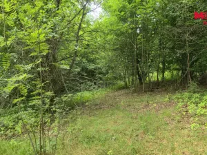 Prodej zahrady, Liberec, V Lučinách, 1050 m2