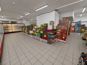 Prodej obchodního prostoru, Most, Lipová, 220 m2