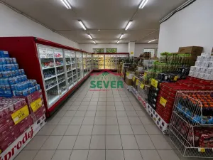 Prodej obchodního prostoru, Most, Lipová, 220 m2