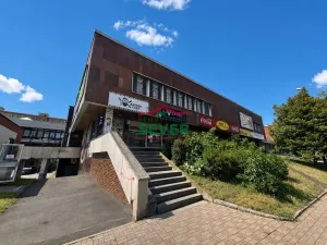 Prodej obchodního prostoru, Most, Lipová, 220 m2
