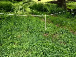 Prodej rodinného domu, Útvina - Svinov, 300 m2