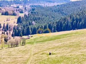 Prodej bytu 1+kk, Nové Hutě, 36 m2