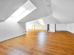 Pronájem rodinného domu, Kunice, 296 m2