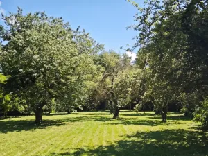 Prodej pozemku pro bydlení, Suchdol, 1100 m2