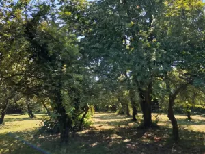 Prodej pozemku pro bydlení, Suchdol, 1100 m2