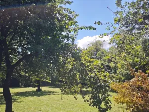 Prodej pozemku pro bydlení, Suchdol, 1100 m2