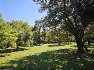Prodej pozemku pro bydlení, Suchdol, 1100 m2