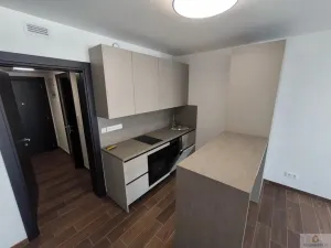 Pronájem bytu 1+kk, Olomouc - Nová Ulice, Třída Jiřího Pelikána, 33 m2