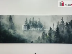 Pronájem bytu 2+kk, Abertamy, Pražská, 49 m2