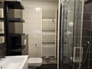 Pronájem bytu 1+kk, Frýdek-Místek - Místek, J. Opletala, 30 m2