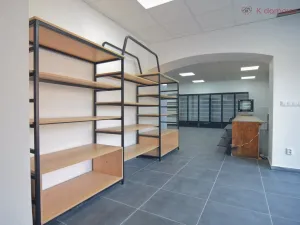 Prodej rodinného domu, Olomouc - Holice, Keplerova, 480 m2
