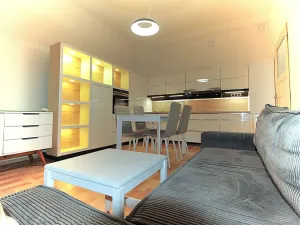 Prodej bytu 2+kk, Praha - Holešovice, Veverkova, 50 m2