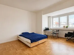 Pronájem bytu 2+1, Brno, Mezírka, 75 m2