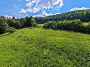 Prodej pozemku pro bydlení, Ludvíkov, 3999 m2