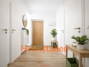 Pronájem bytu 1+1, Ostrava - Moravská Ostrava, Havířská, 44 m2