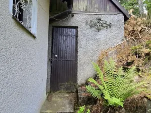Prodej chaty, Tis u Blatna, 60 m2