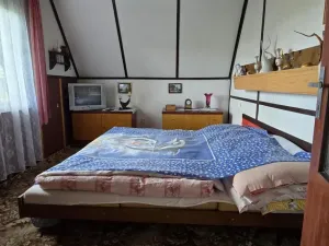 Prodej chaty, Tis u Blatna, 60 m2