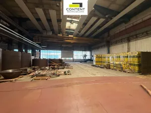 Pronájem výrobních prostor, Benešov, Černoleská, 620 m2