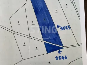 Prodej lesa, Brno - Řečkovice, 4307 m2