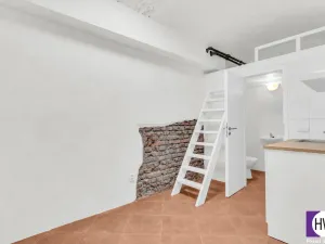 Prodej bytu 1+kk, Praha, Jagellonská, 16 m2