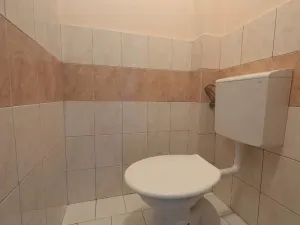 Prodej atypického bytu, Přerov - Přerov I-Město, Kosmákova, 200 m2