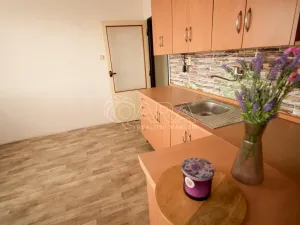 Prodej bytu 2+1, Strakonice - Strakonice I, Čelakovského, 65 m2