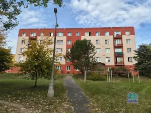 Prodej bytu 3+1, Stříbro, Brožíkova, 56 m2