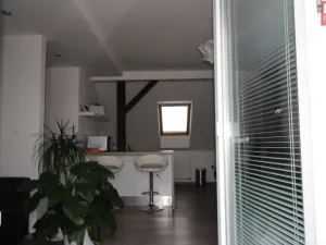 Pronájem bytu 1+kk, Olomouc - Hodolany, Za humny, 45 m2