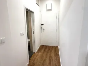 Pronájem bytu 1+kk, Praha - Michle, 28 m2
