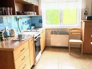 Prodej vícegeneračního domu, Záboří nad Labem, Příčná, 360 m2