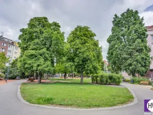 Prodej bytu 1+kk, Praha, Poupětova, 22 m2