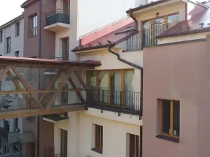 Dražba vícegeneračního domu, Náchod, Komenského, 1000 m2