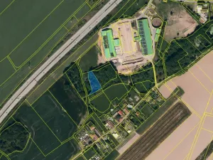 Prodej lesa, Olbramice, 2070 m2
