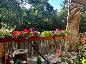 Pronájem bytu 2+kk, Praha - Žižkov, Jeseniova, 55 m2