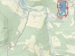 Prodej lesa, Malá Bystřice, 43476 m2