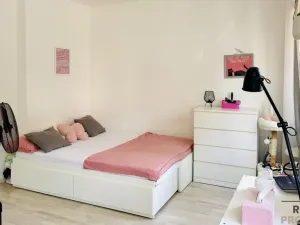 Pronájem bytu 1+kk, Brno, Veslařská, 26 m2