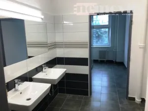 Pronájem kanceláře, Hradec Králové - Pražské Předměstí, Nerudova, 18 m2