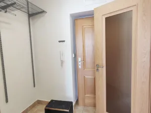 Pronájem bytu 1+kk, České Budějovice, Riegrova, 25 m2