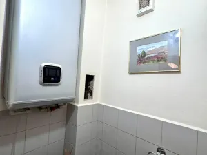 Prodej bytu 2+1, Praha - Žižkov, Jeseniova, 71 m2