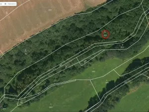 Prodej lesa, Spálené Poříčí - Záluží, 9268 m2