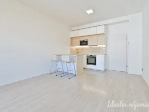 Pronájem bytu 1+kk, Brno, Přadlácká, 28 m2