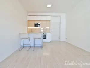 Pronájem bytu 1+kk, Brno, Přadlácká, 28 m2