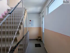 Prodej bytu 3+kk, Teplice - Trnovany, Hlávkova, 54 m2