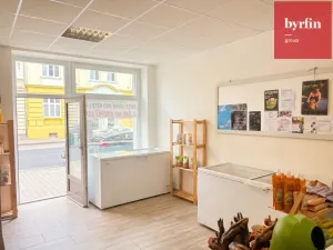 Pronájem obchodního prostoru, Opava, Nákladní, 44 m2