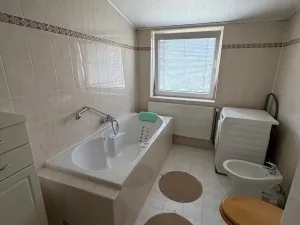 Pronájem rodinného domu, Most, S. K. Neumanna, 100 m2