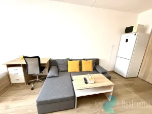 Pronájem bytu 1+kk, České Budějovice, M. Chlajna, 31 m2