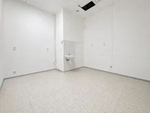 Pronájem skladu, Brno, Šujanovo náměstí, 137 m2